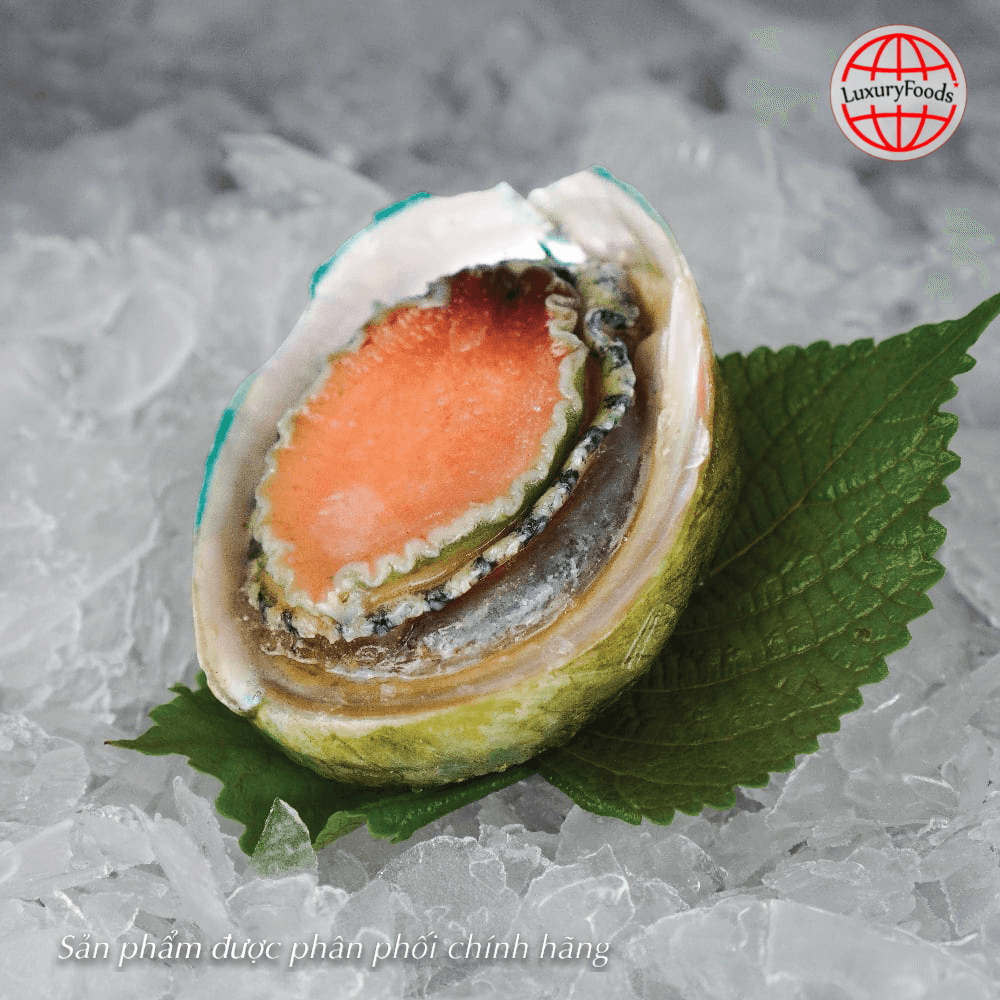 Bào Ngư Úc Viền Xanh Tasmania