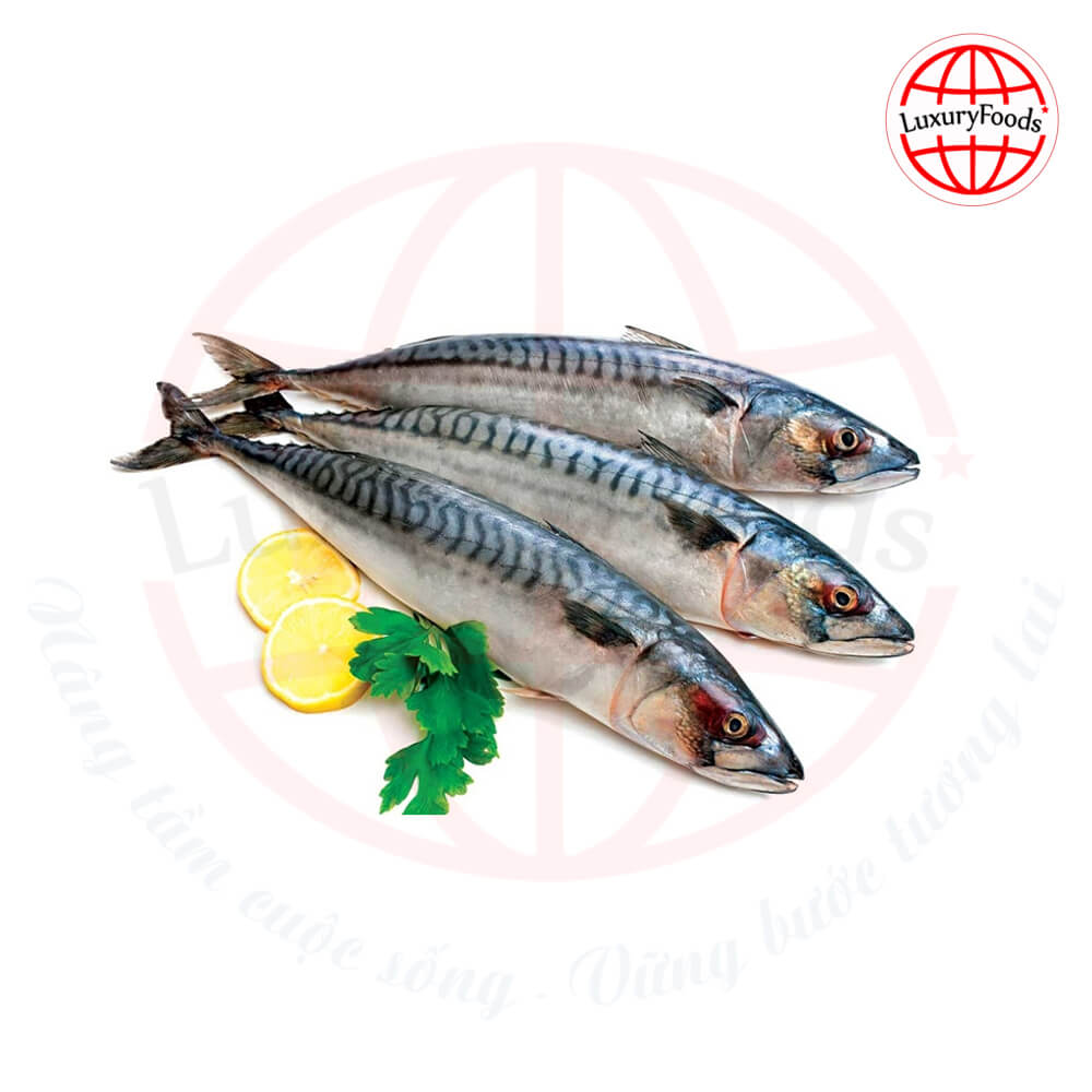 Cá Saba Na Uy Nguyên Con