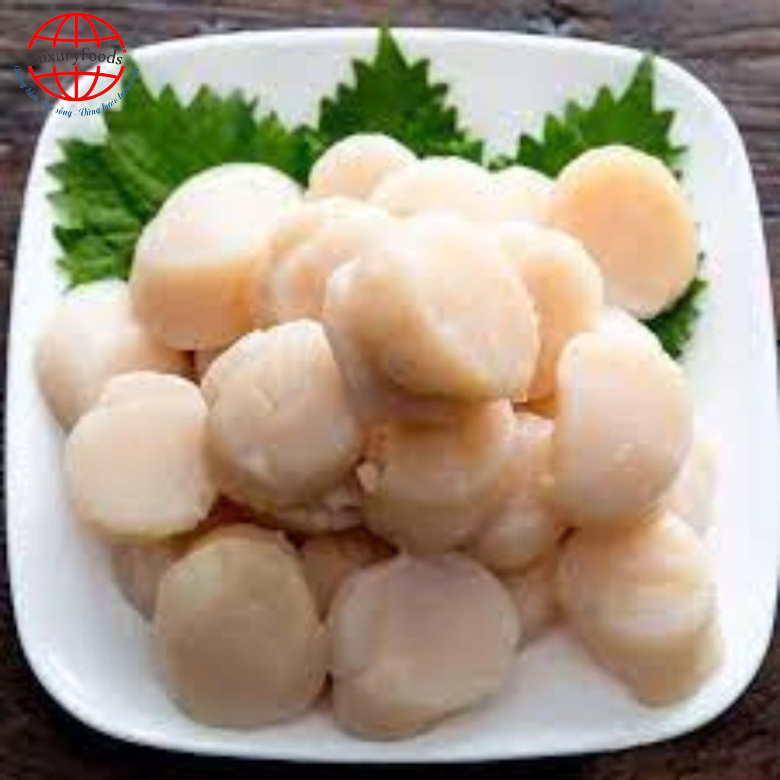 Cồi Sò Điệp Có Viền Hấp Đông Lạnh Size 40-60 Cồi/kg