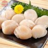 Cồi Sò Nhật (size 10-20) 1kg/gói