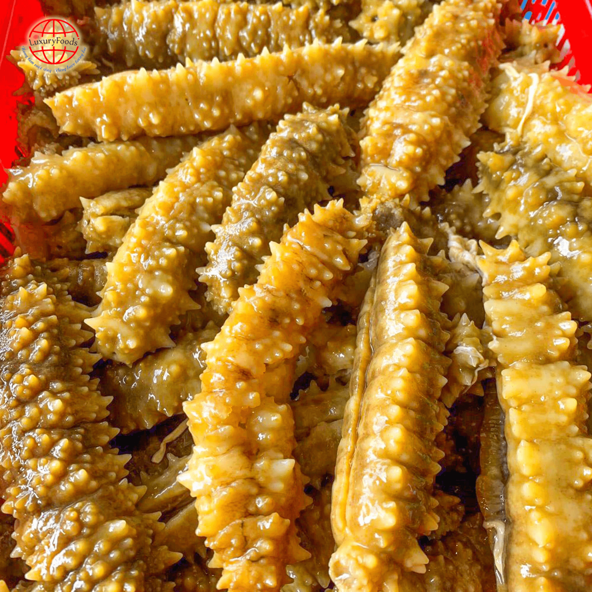 Hải Sâm Việt Nam