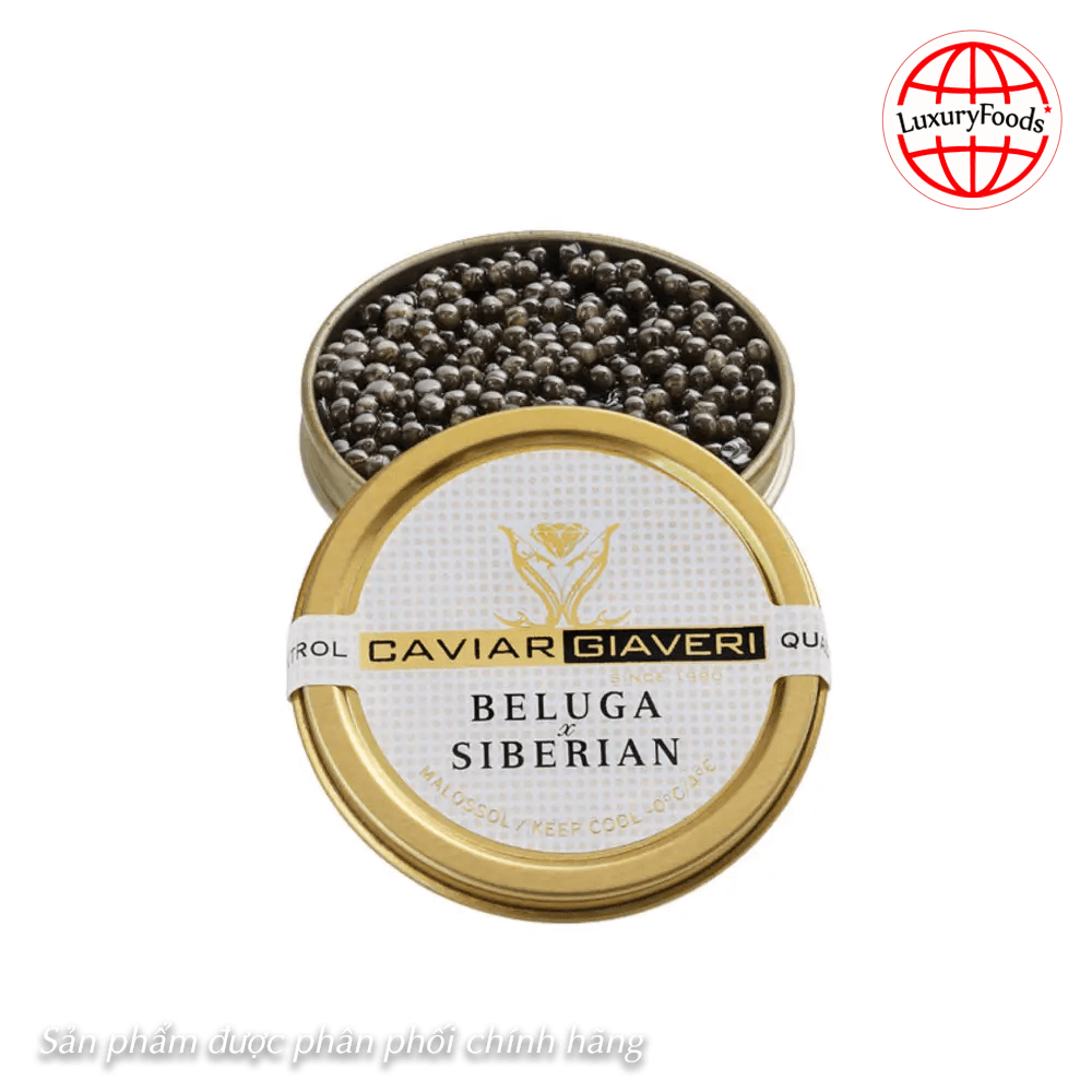 Trứng Cá Tầm Beluga & Siberian